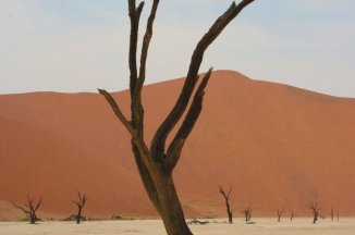 Velký okruh Namibií - Namibie